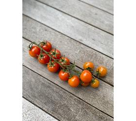 Cherry-Strauch-Tomaten  250g Portion