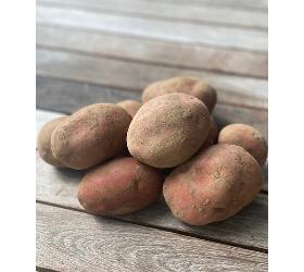 Kartoffeln Rote Laura 1kg, (vkf)