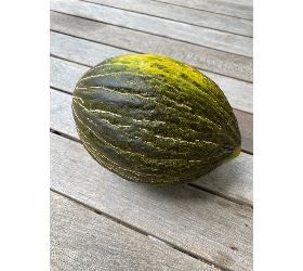 Melone, Piel de Sapo
