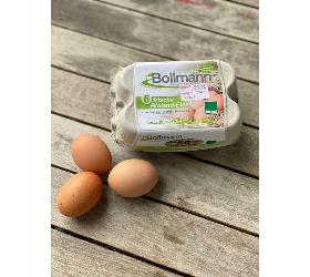 Eier von Familie Bollmann, 6 Stk. Gr. M