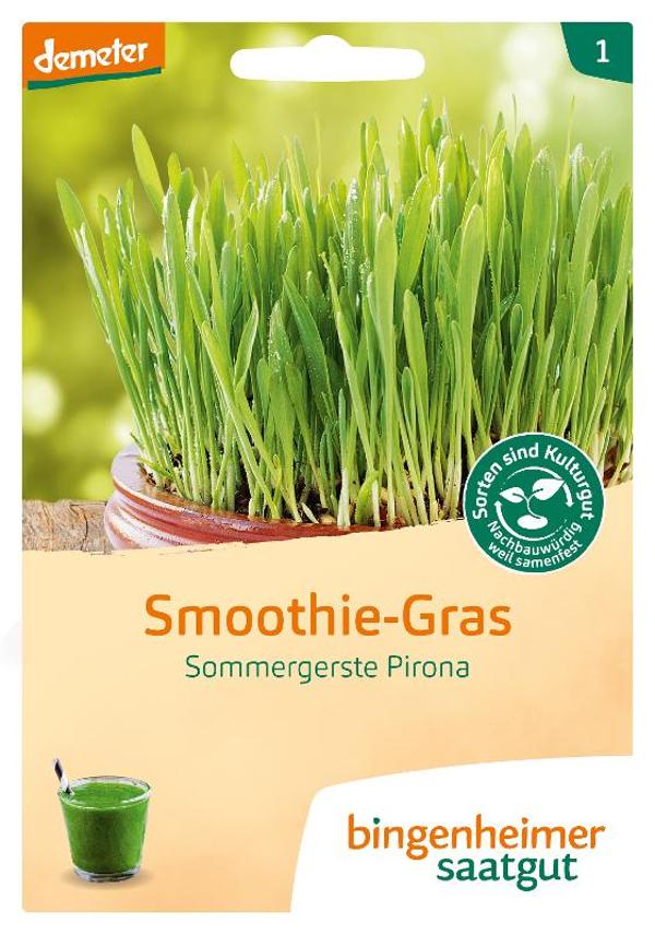 Produktfoto zu Smoothie-Gras Saatgut
