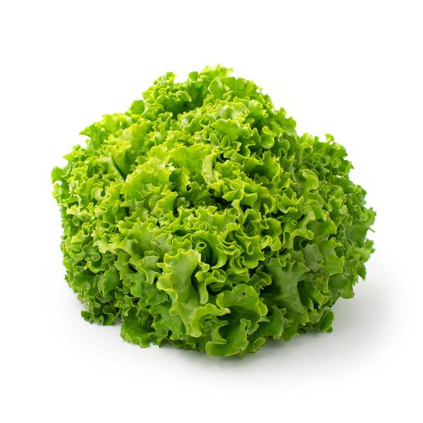 Produktfoto zu grüner Batavia Salat