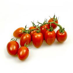 regionale Tomaten