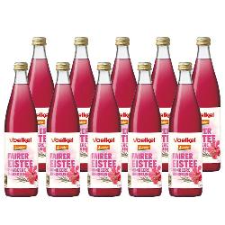 Fairer Eistee Himbeer Hibiskus (10 x 0,33l)