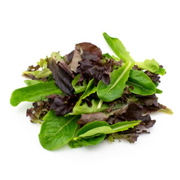 Produktfoto zu Baby Leaf - Pflücksalat