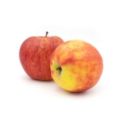 Äpfel der Saison - Jonagored