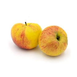 Äpfel der Saison - Red Prince