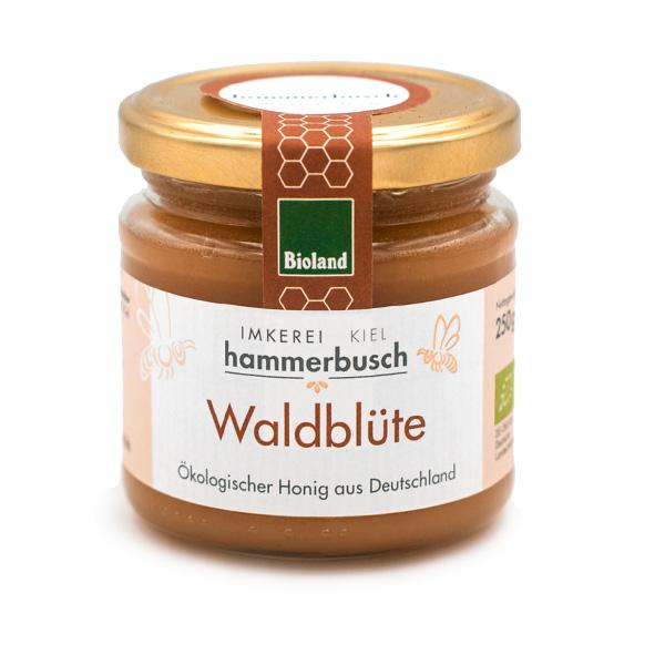 Produktfoto zu Waldblüte Honig 250g