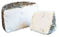 Pecorino jung mit Oregano