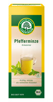Pfefferminze