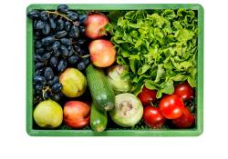 Bürokiste Obst & Gemüse groß
