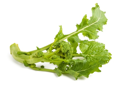 Cime di Rapa