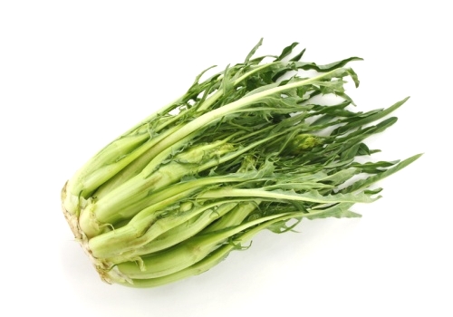 Puntarelle mit Info & Rezept