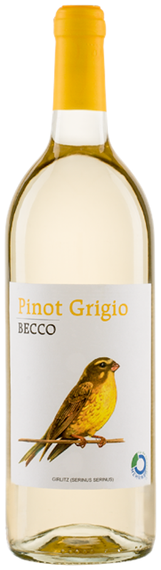 BECCO Pinot Grigio IGT 2021_20