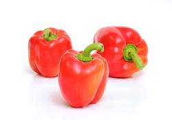 Paprika rot