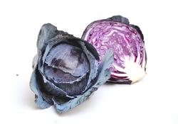 Rotkohl