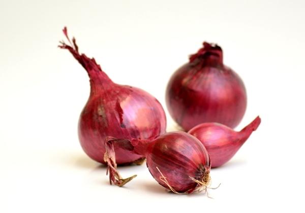 Produktfoto zu Zwiebeln rot