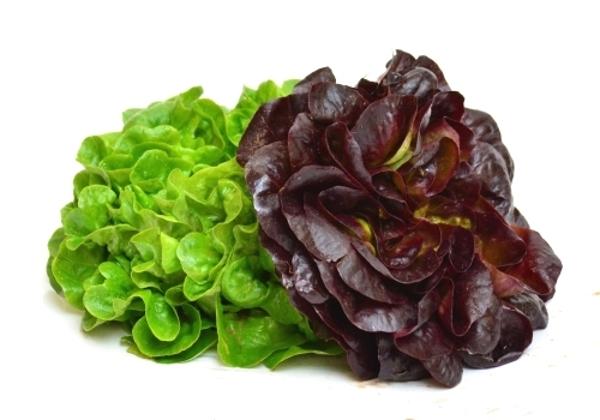 Produktfoto zu Salat, Minisalate