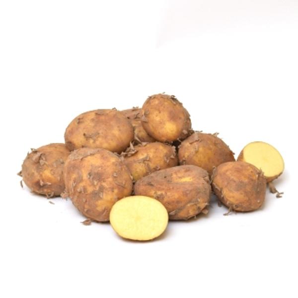 Produktfoto zu Frühkartoffel  festkochend ca.1kg
