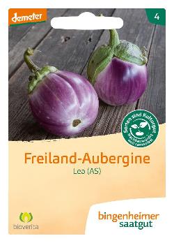 Aubergine Saatgut