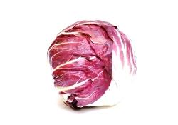 Infoblatt Radicchio