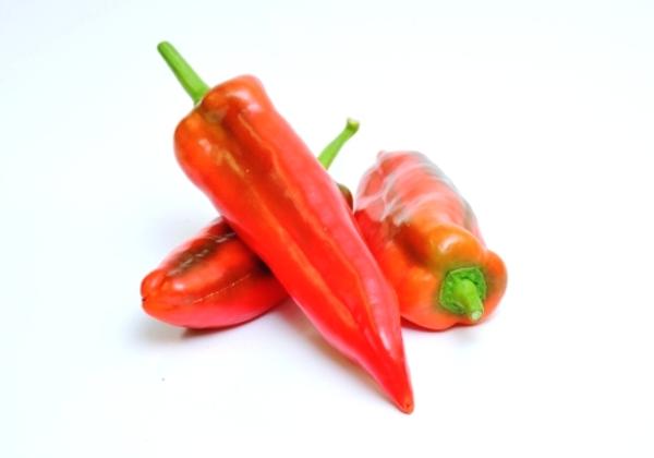 Produktfoto zu Paprika rot spitz