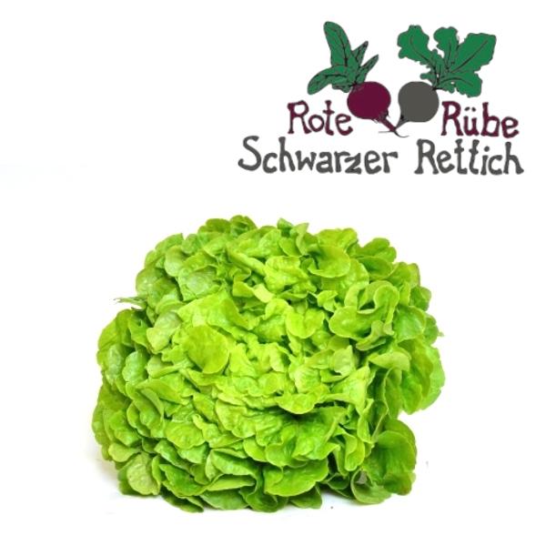 Produktfoto zu Salat, Eichblatt grün