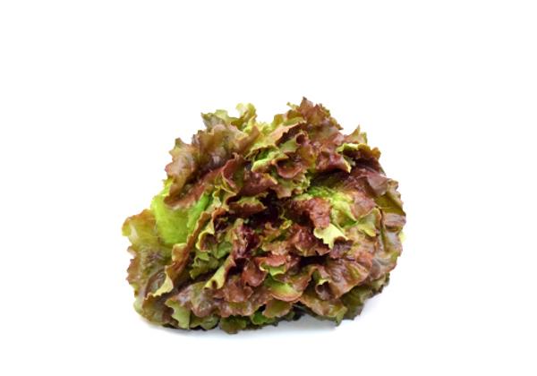 Produktfoto zu Salat, Batavia rot