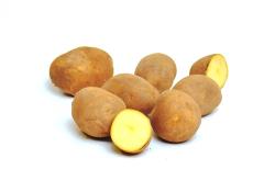 Kartoffel festkochend ca. 1kg