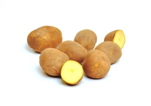 Produktfoto zu Kartoffel festkochend ca. 1kg