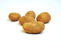 Kartoffel Übergöße festkochend ca. 2kg