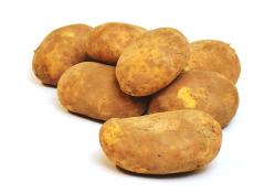 Kiste Kartoffeln Übergöße festkochend, 10 kg