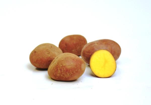 Produktfoto zu Kartoffel vorwiegend festkochend ca. 1kg