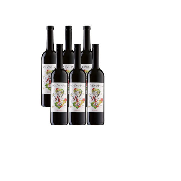Produktfoto zu Kiste GROOVE Rotwein Cuvée 6*0,75l