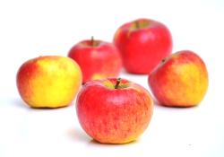 Apfel d. Woche (1) Braeburn