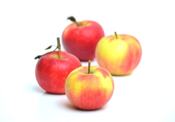 Produktfoto zu Apfel Elstar