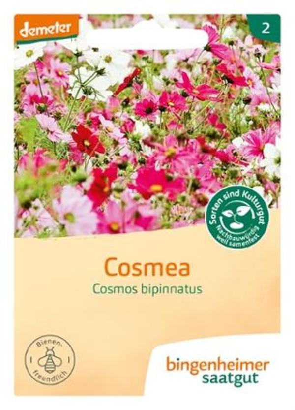 Produktfoto zu Cosmea Saatgut