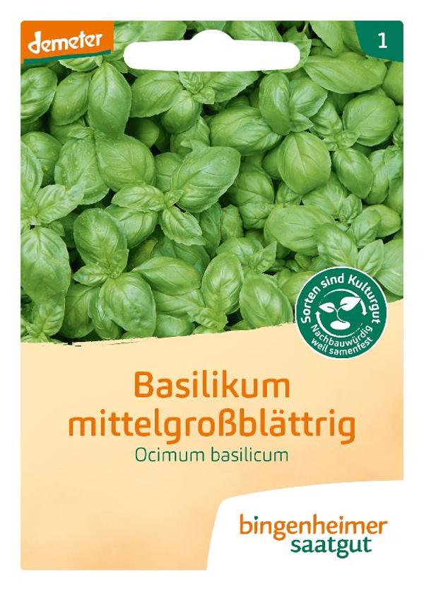 Produktfoto zu Basilikum mittelgroßblättrig Saatgut