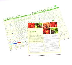 Lagertipps Gemüse & Obst vom Verband Ökokiste