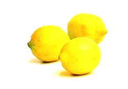 Zitronen Sorte Verna