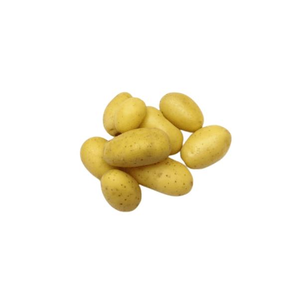 Produktfoto zu Kartoffel Sieglinde