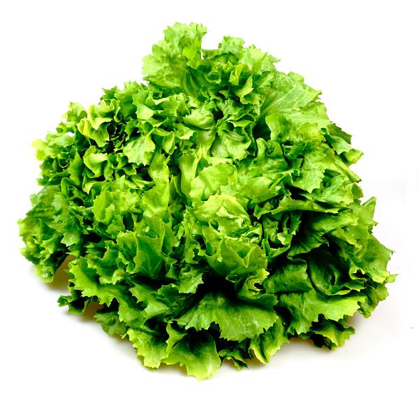 Produktfoto zu Kraus-Salat