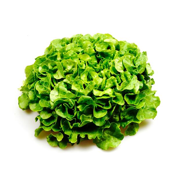 Produktfoto zu Eichblatt-Salat Raisa