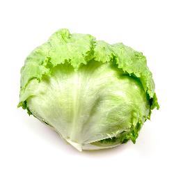Eisberg-Salat
