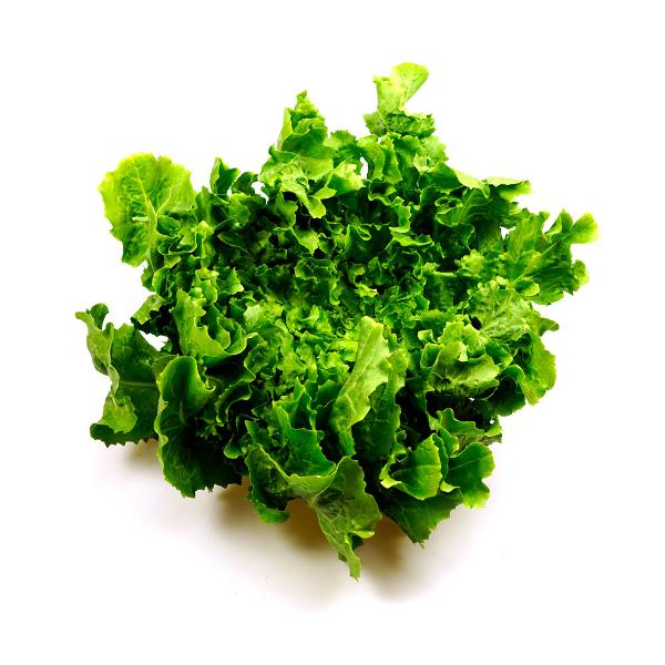 Produktfoto zu Endivien-Salat