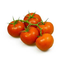 Tomaten, Strauch