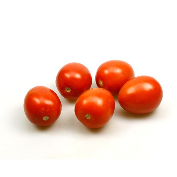 Produktfoto zu Tomate, Romastrauch