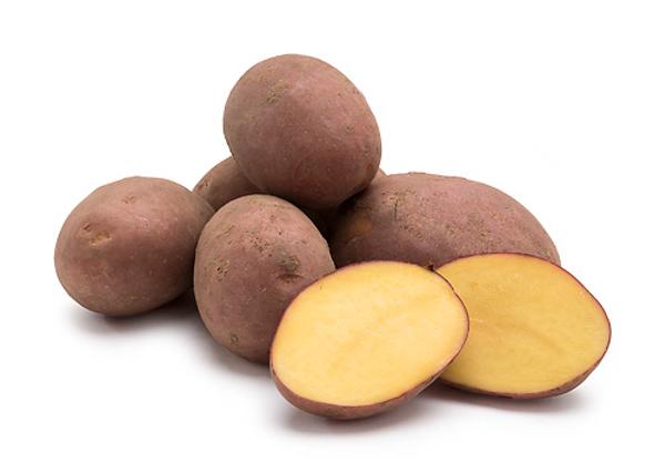 Produktfoto zu Frühkartoffel Laura vfk