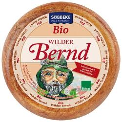 Wilder Bernd - Münsterländer