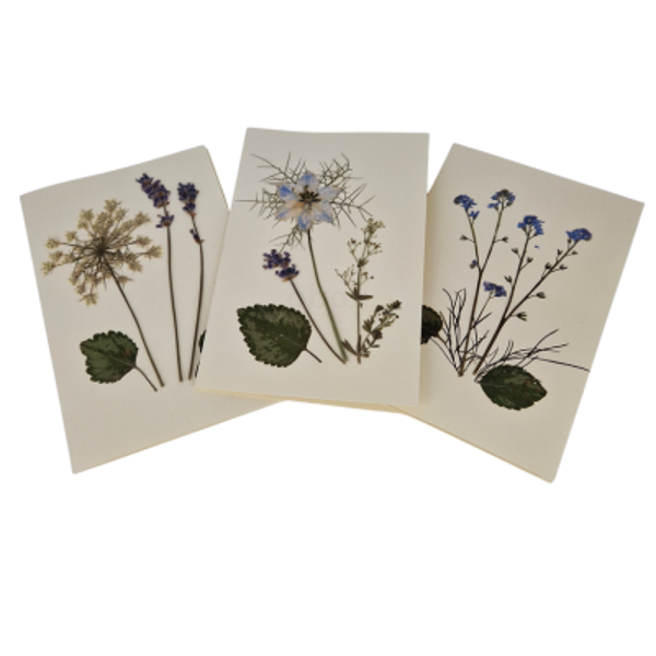 Produktfoto zu Thüringer Blütenkarten
